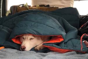 Gear Bargains: Save on Carve Designs, Stoic, ALPS Mountaineering, and More