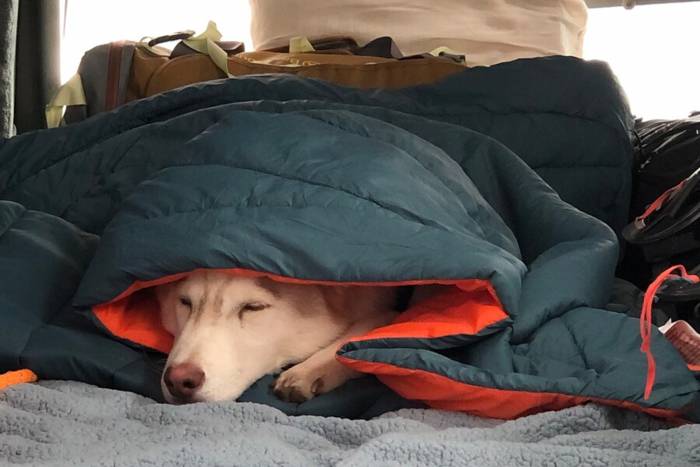 Gear Bargains: Save on Carve Designs, Stoic, ALPS Mountaineering, and More