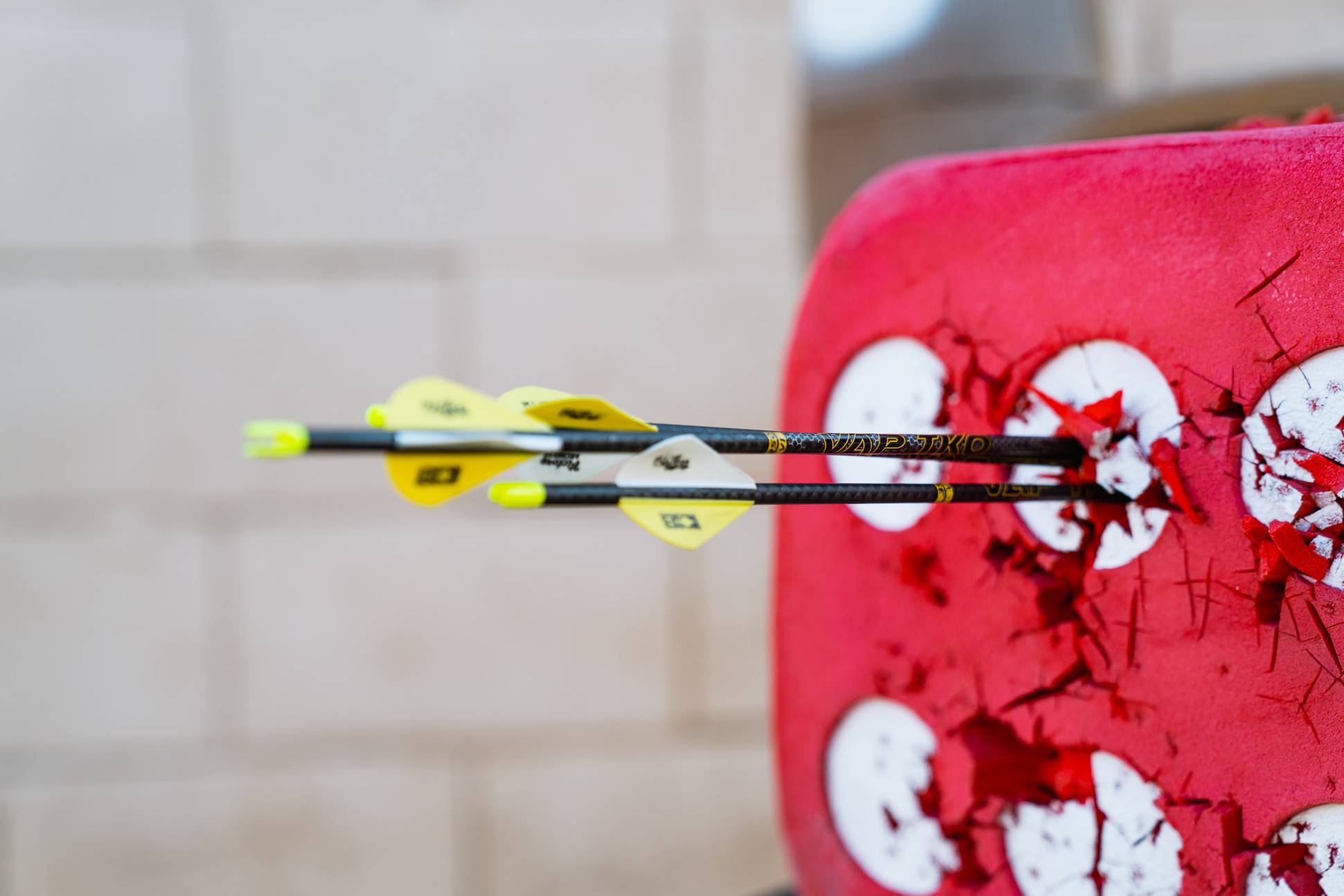 Archery Bullseyes, Full Freezers Victory VAP TKO Arrow Review GearJunkie