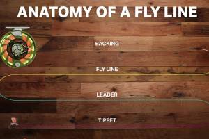 Fly Fishing 101: Fly Line Anatomy Explained