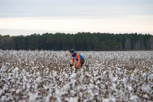 A More Social Gravel Bike Race: ‘Stuckey’s Gravel Roll’ Adds Untimed Transfers