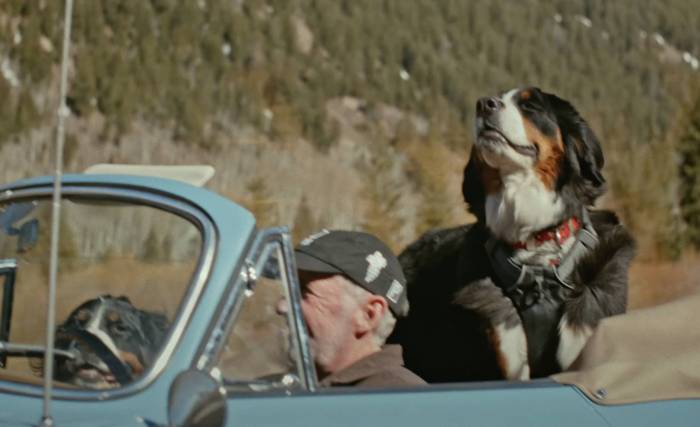 Life and Works of Jeff Zwart