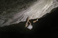 World's Third V17? Shawn Raboutou Thinks So With 'Alphane' shawn raboutou v17