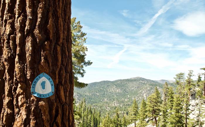 tahoe rim trail