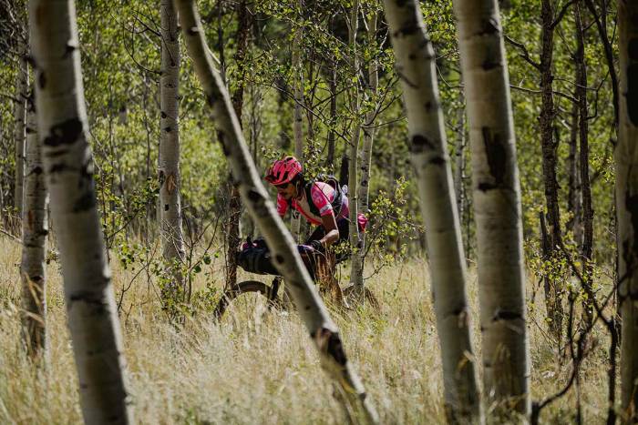 colorado trail morton