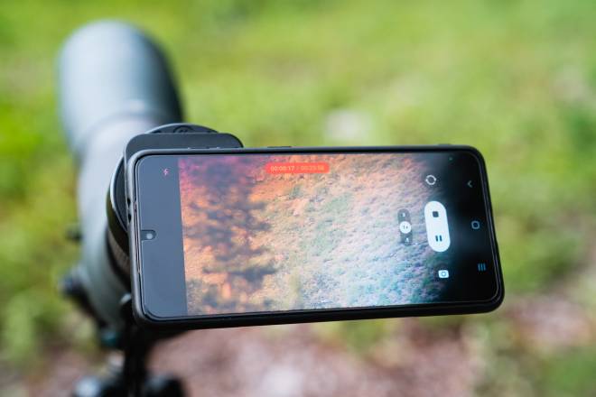 Enhance Your Phone's Wildlife Photography: Ollin Digiscoping System ...
