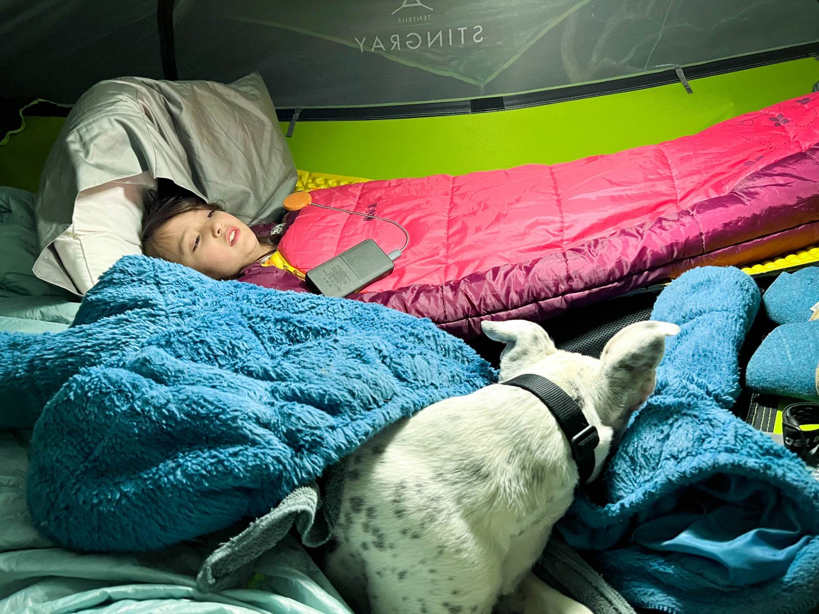 Tentsile Stingray Tree Tent Review Camp With Your (Inner) Child