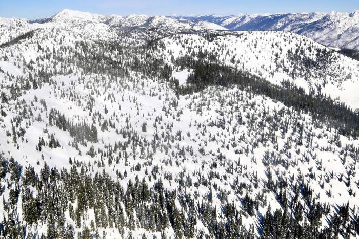 Following Their True North — Canada Approves New Cat Skiing Operation