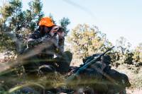 Fall Bear Hunting: Proven Tactics for Success in the West