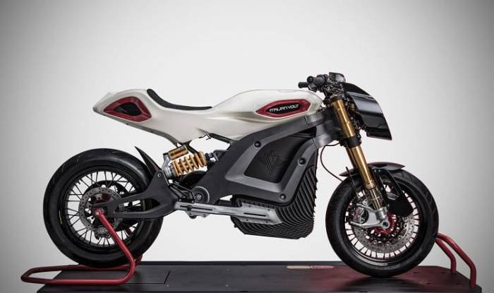 Electric Bike Italian Volt Lacama