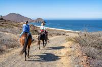 Sea-to-Sierra Trips in Baja California Sur: A Guide to Surfing and Canyon Trekking Cortez Trips in Baja California Sur