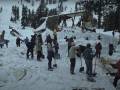 'Buried: The 1982 Alpine Meadows Avalanche' Film Just Got 100% on Rotten Tomatoes 'Buried: The 1982 Alpine Meadows Avalanche' documents one of the biggest tragedies in Lake Tahoe's skiing history; (Photo/Buried)