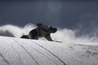 Blur 'Is Like Improv Jazz': Spontaneous Snowboarding Composed on the Spot Quiksilver's new film Blur is like improv jazz; (Photo/Quicksilver)