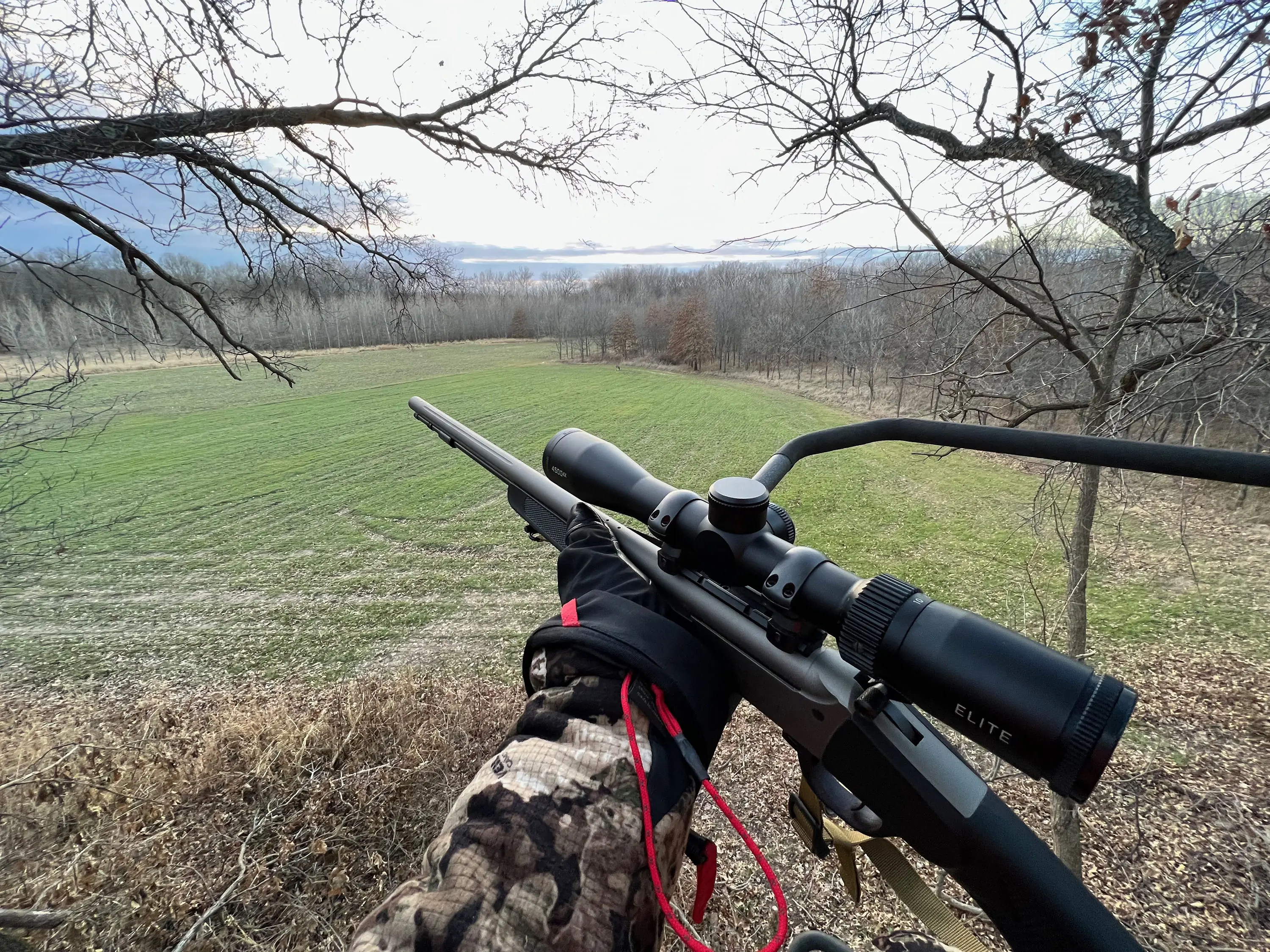 Traditions muzzleloader seen from a treestand over a field