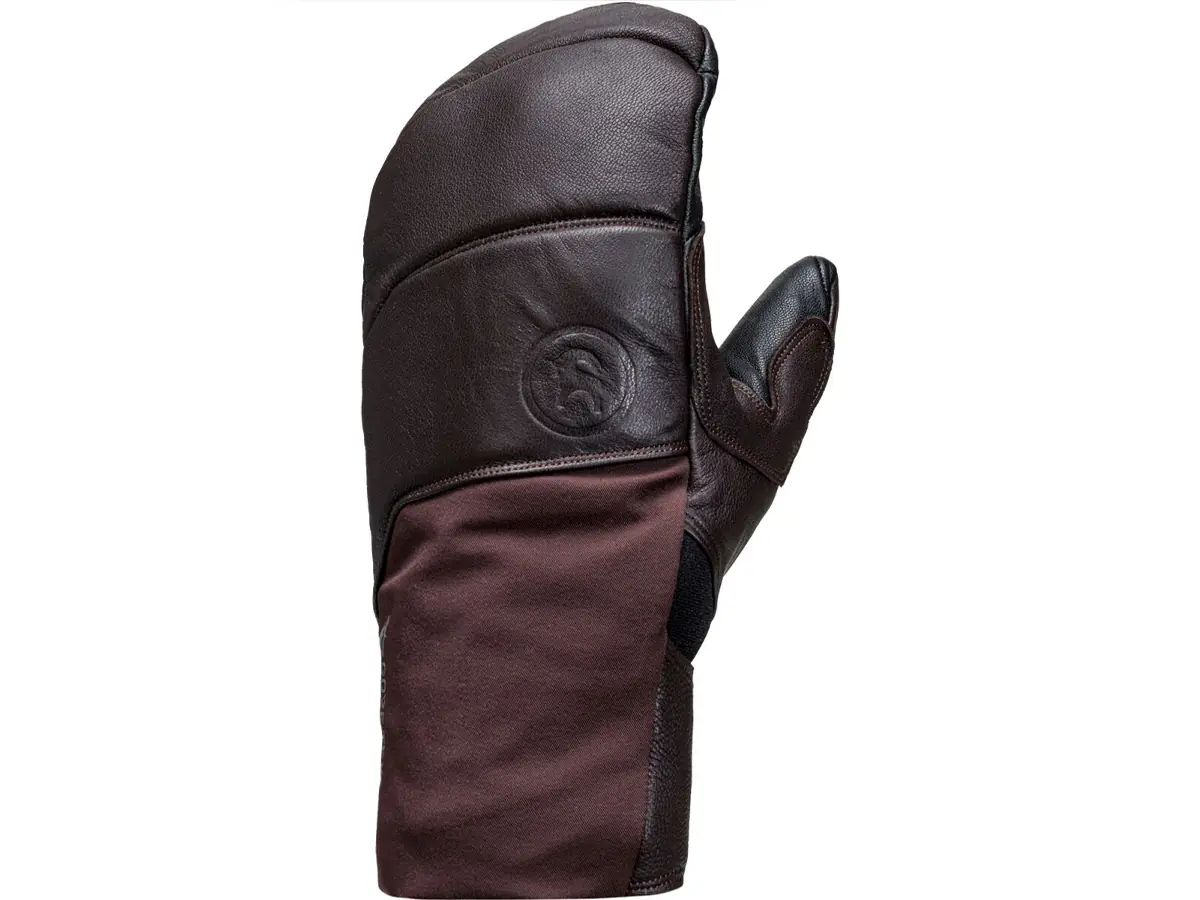 Backcountry GORE-TEX Snow Mitten