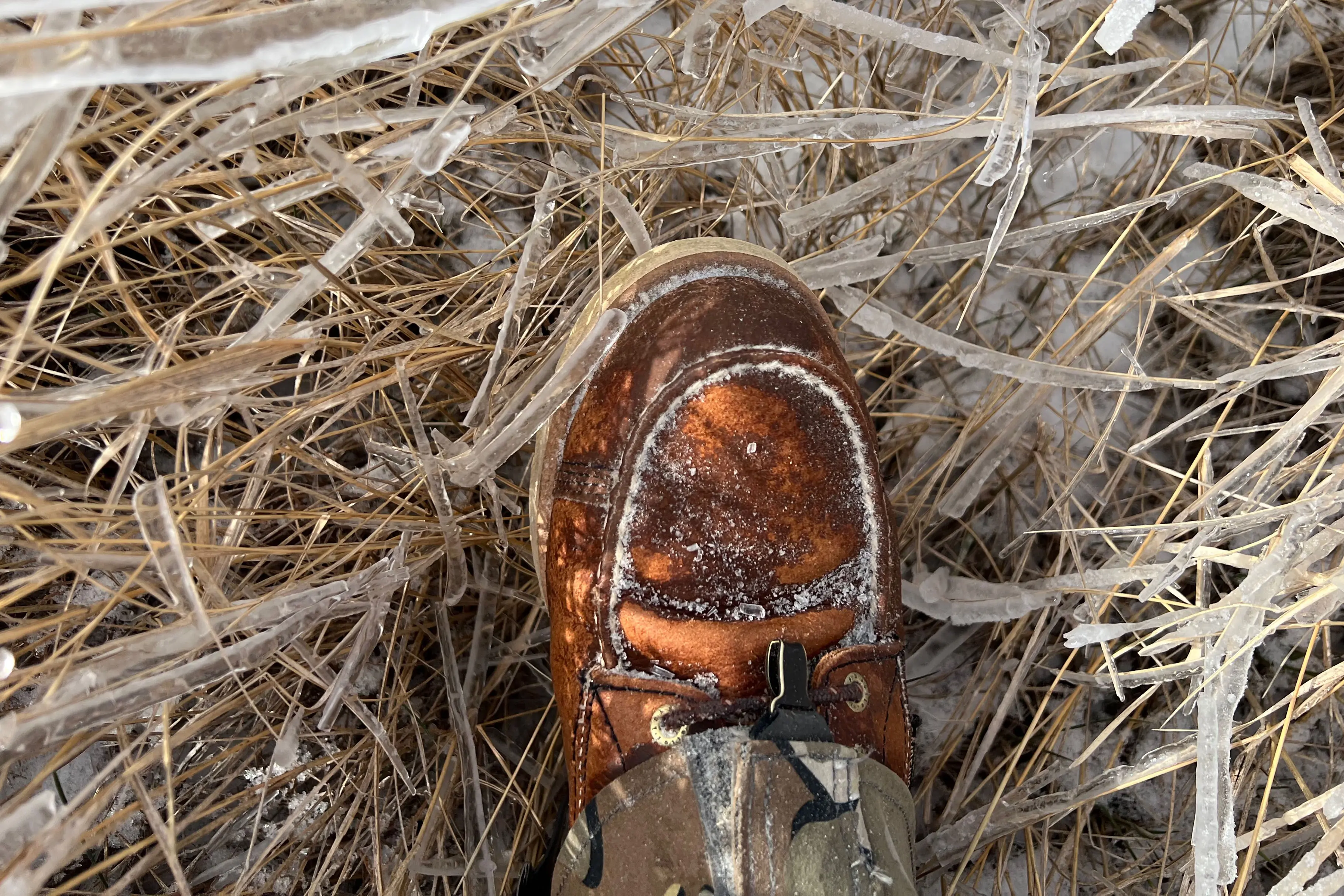 Irish Setter Wingshooter Boots Irish Setter Wingshooter Boots in field with ice top view