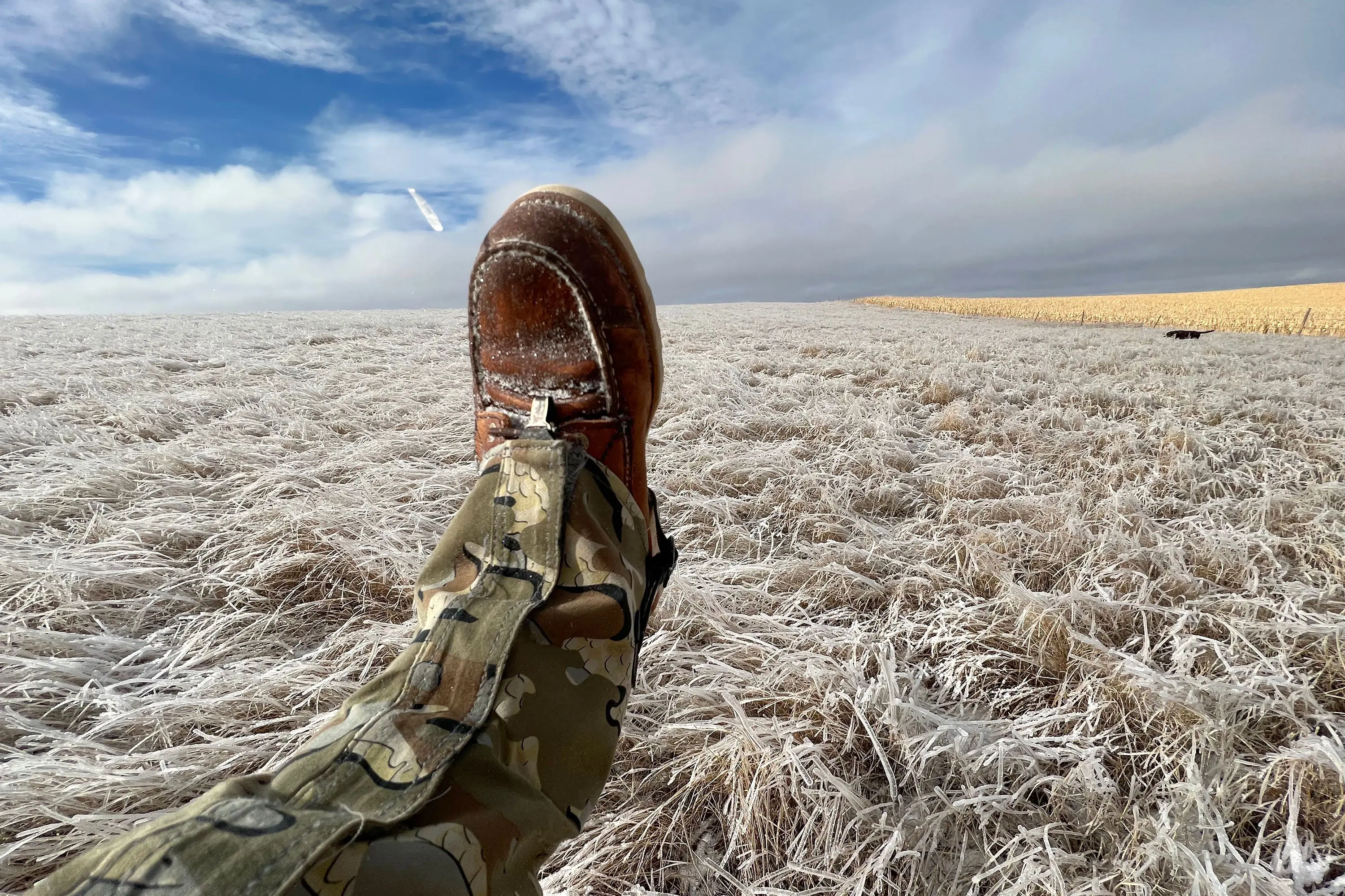 Irish Setter Wingshooter boots over an icy field