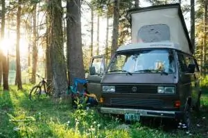 Buy Jorts, Win a Westfalia: Ripton & Co. Launches Big Giveaway