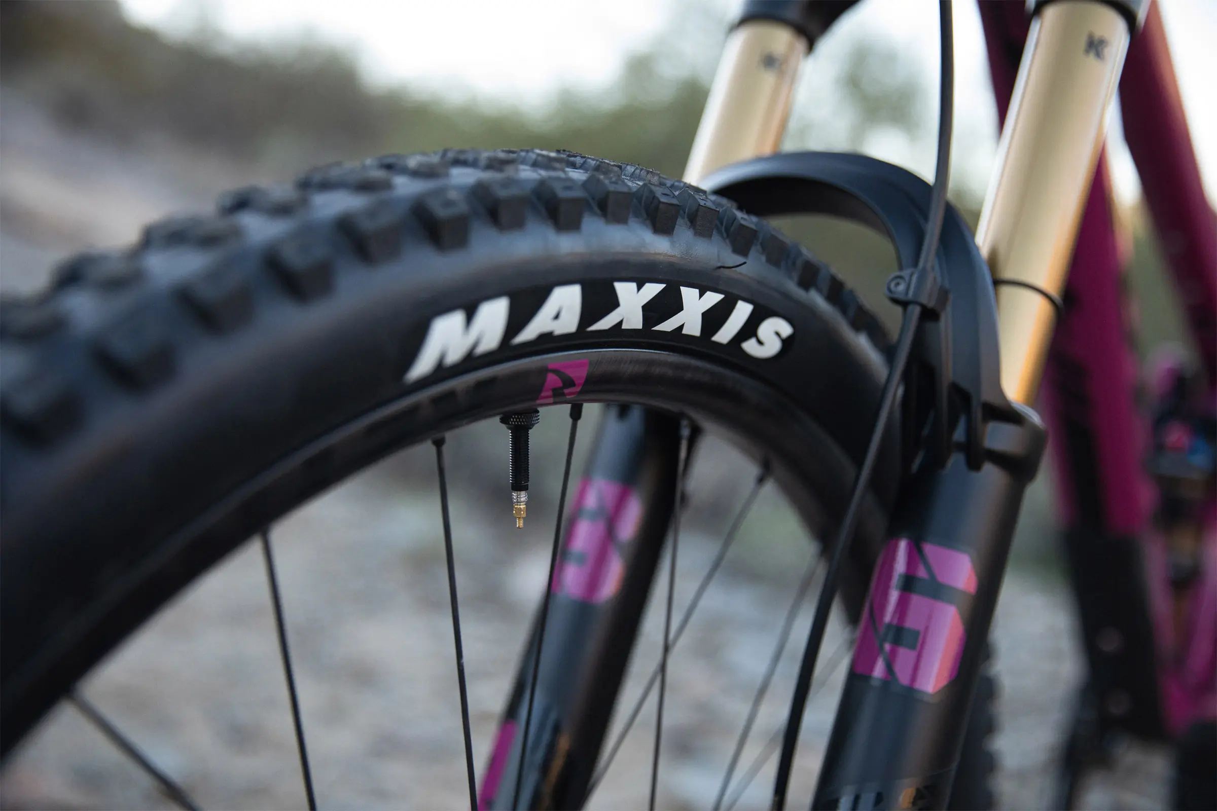 Pivot Shadowcat Mountain Bike Review - Maxxis