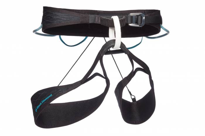 Black Diamond airNET Harness