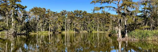 Bayou Blue in New Orleans