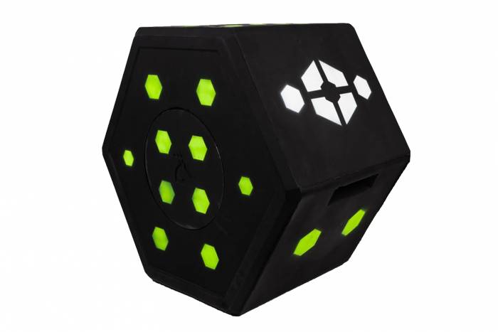 Delta Mckenzie - Big 8 3d Target