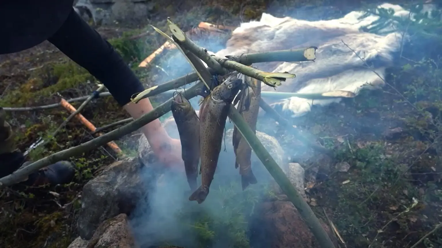 Cooking fish in the woods exweb-cabin-2-1536x864