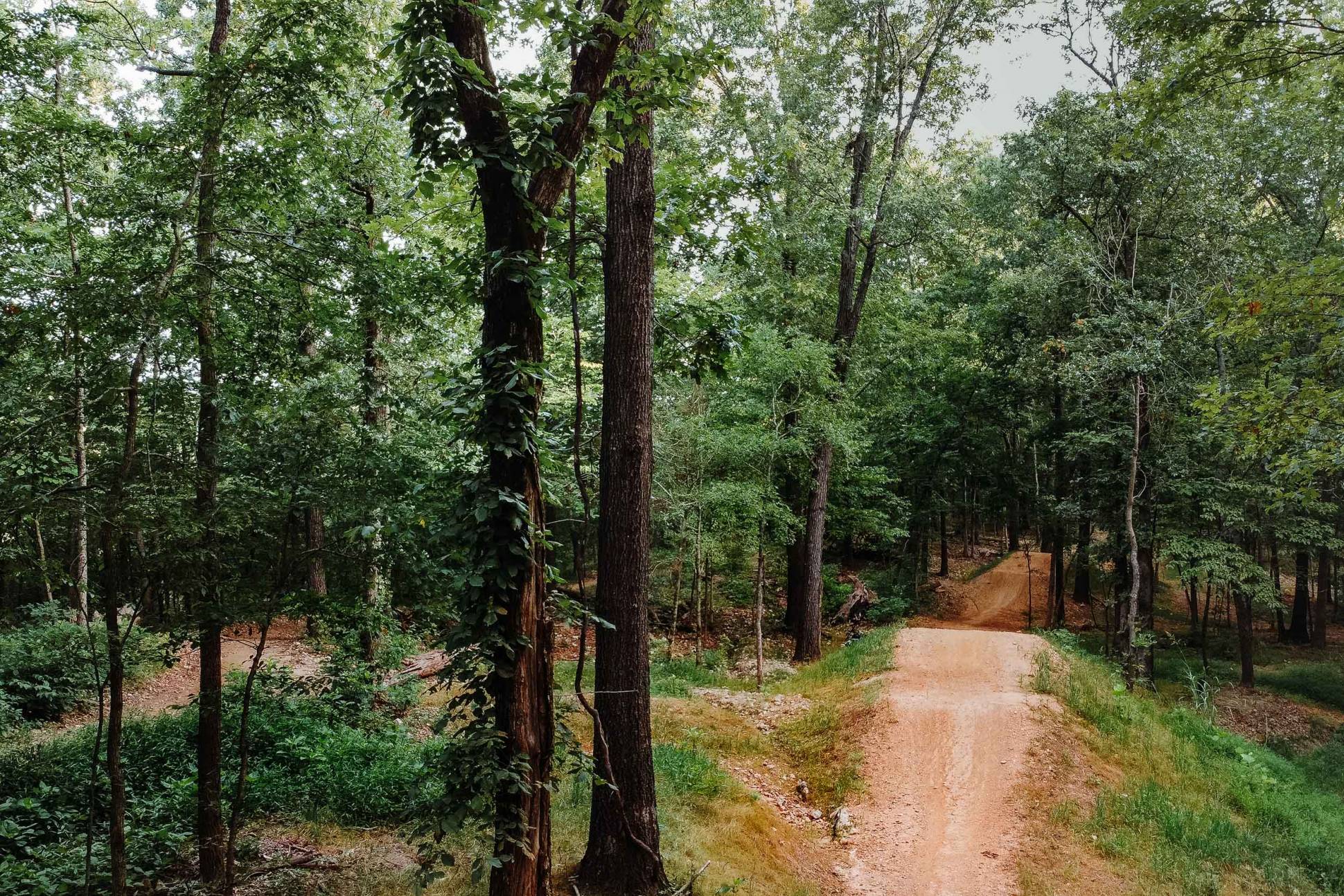 Bentonville Named Official Base of the US National Mountain Bike Team