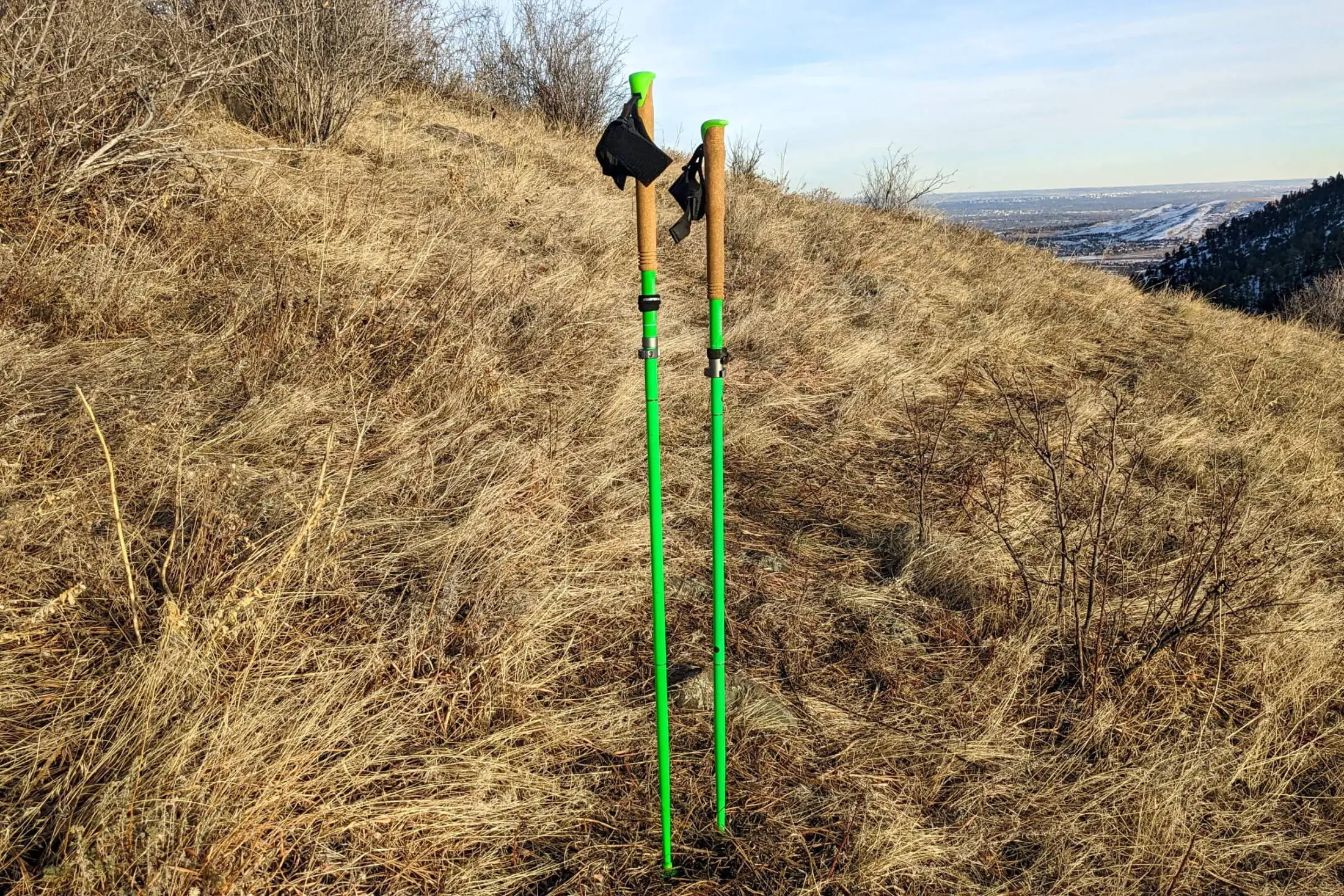 Komperdell Semiautomatic Carbon Trekking Pole Review: Tough to