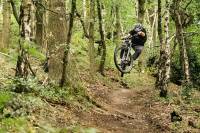 Painting Meets MTB in Creative Cannondale Spotlight making marks