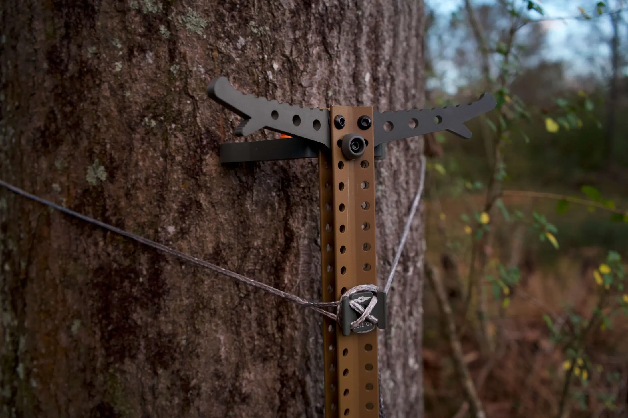 skeletor-attached-to-the-tree skeletor-attached-to-the-tree