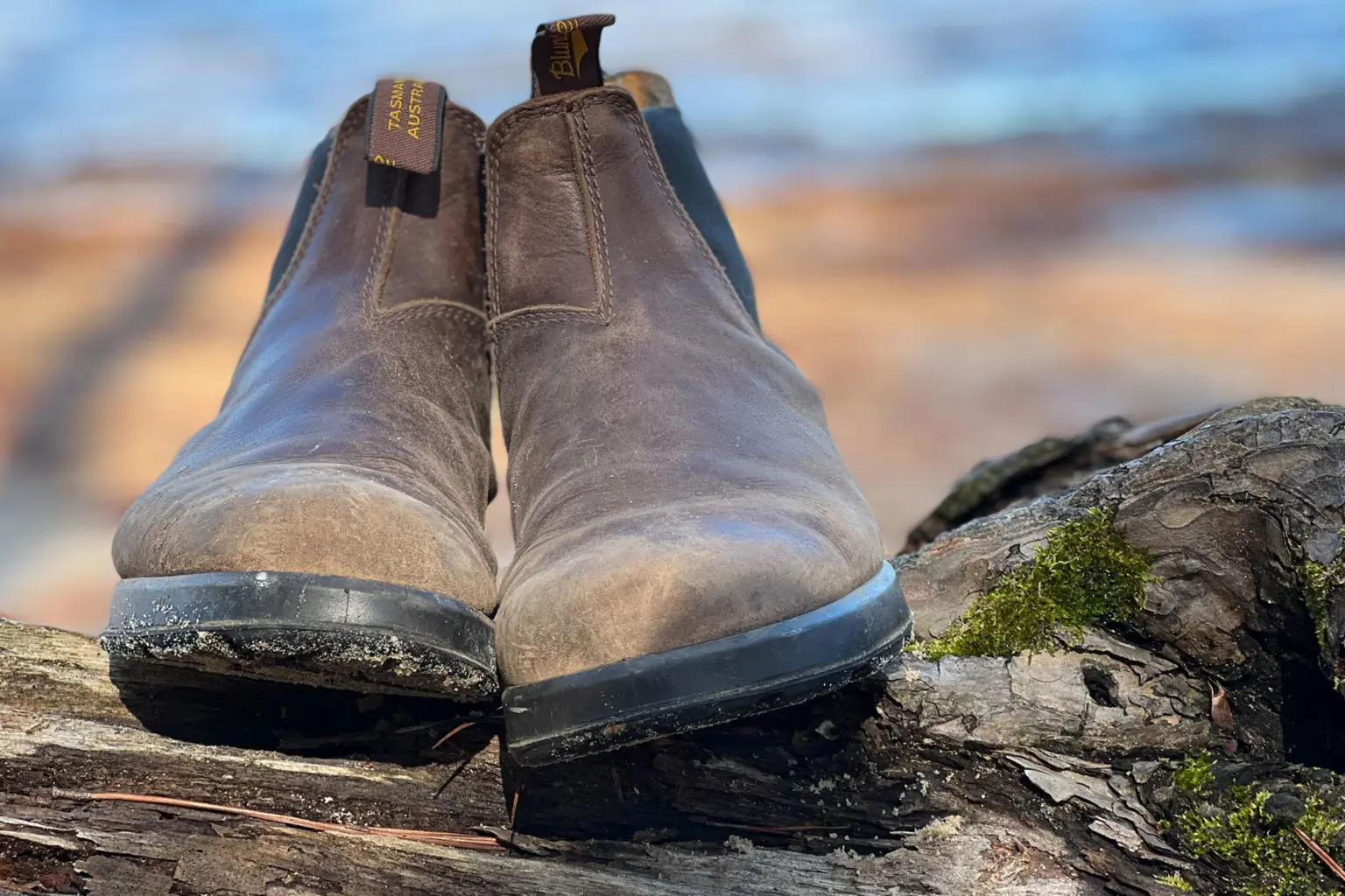 美品 Blundstone ALL-TERRAIN Rustic Brown Blundstone All-Terrain Rusticbrn | Buy Blundstone All