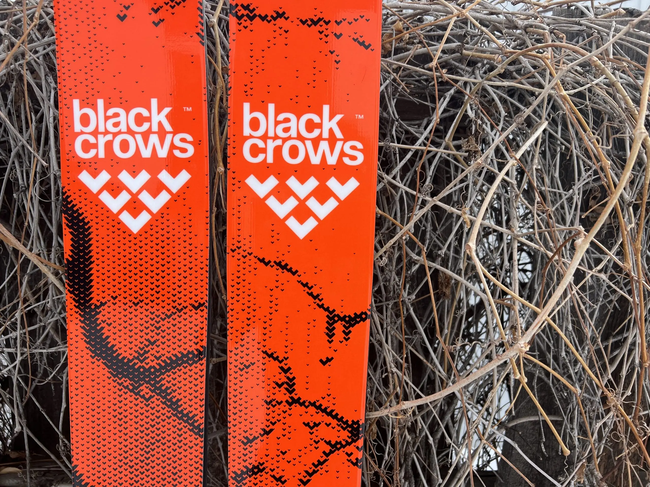 For the Powder Hunters: Black Crows Releases Limited Edition