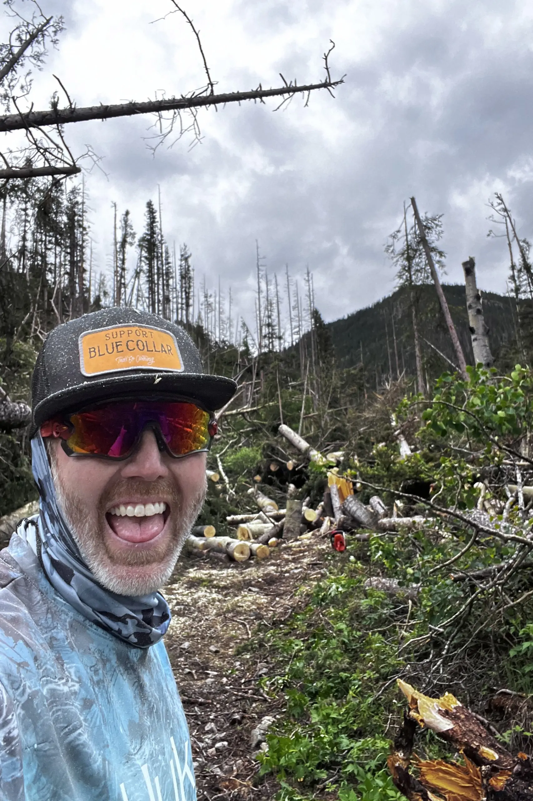 Justin Brandenburg clearing trees