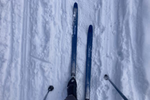 Salomon Snowscape 7 Posigrip XC Skis Review