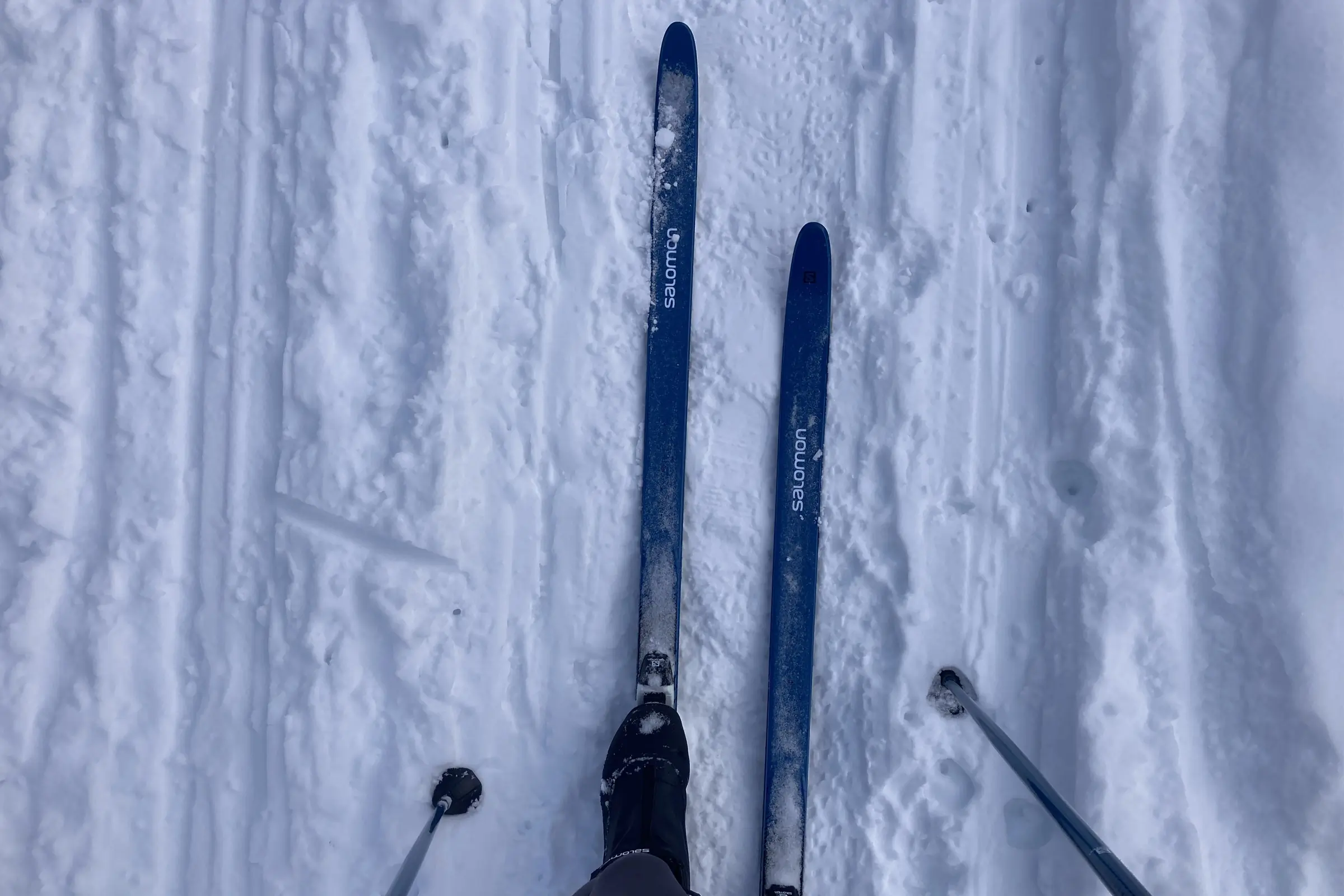 Salomon Snowscape 7 Posigrip XC Skis Review: Ditch the Wax