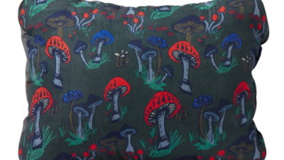 Therm-a-Rest Compressible Pillow