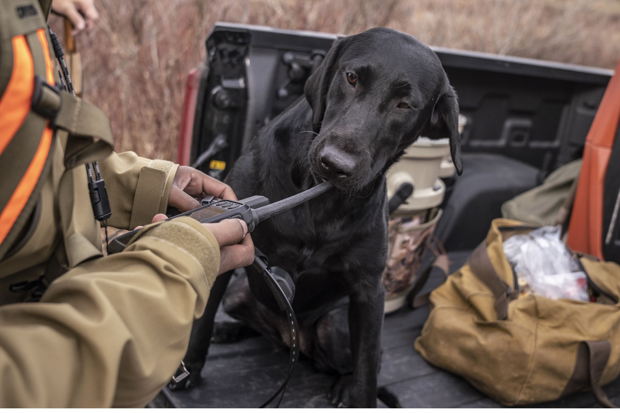 Garmin Alpha 200i Dog Tracking GPS