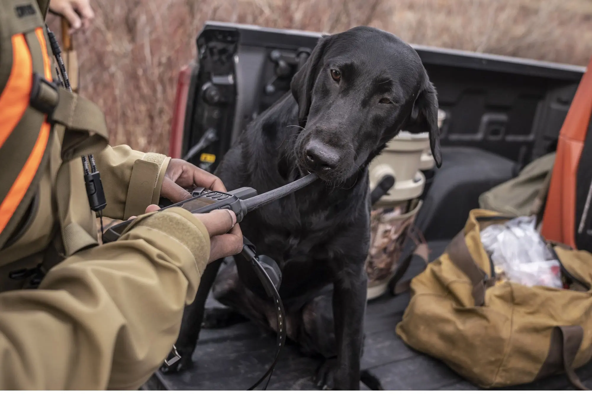 Garmin Alpha 200i Dog Tracking GPS