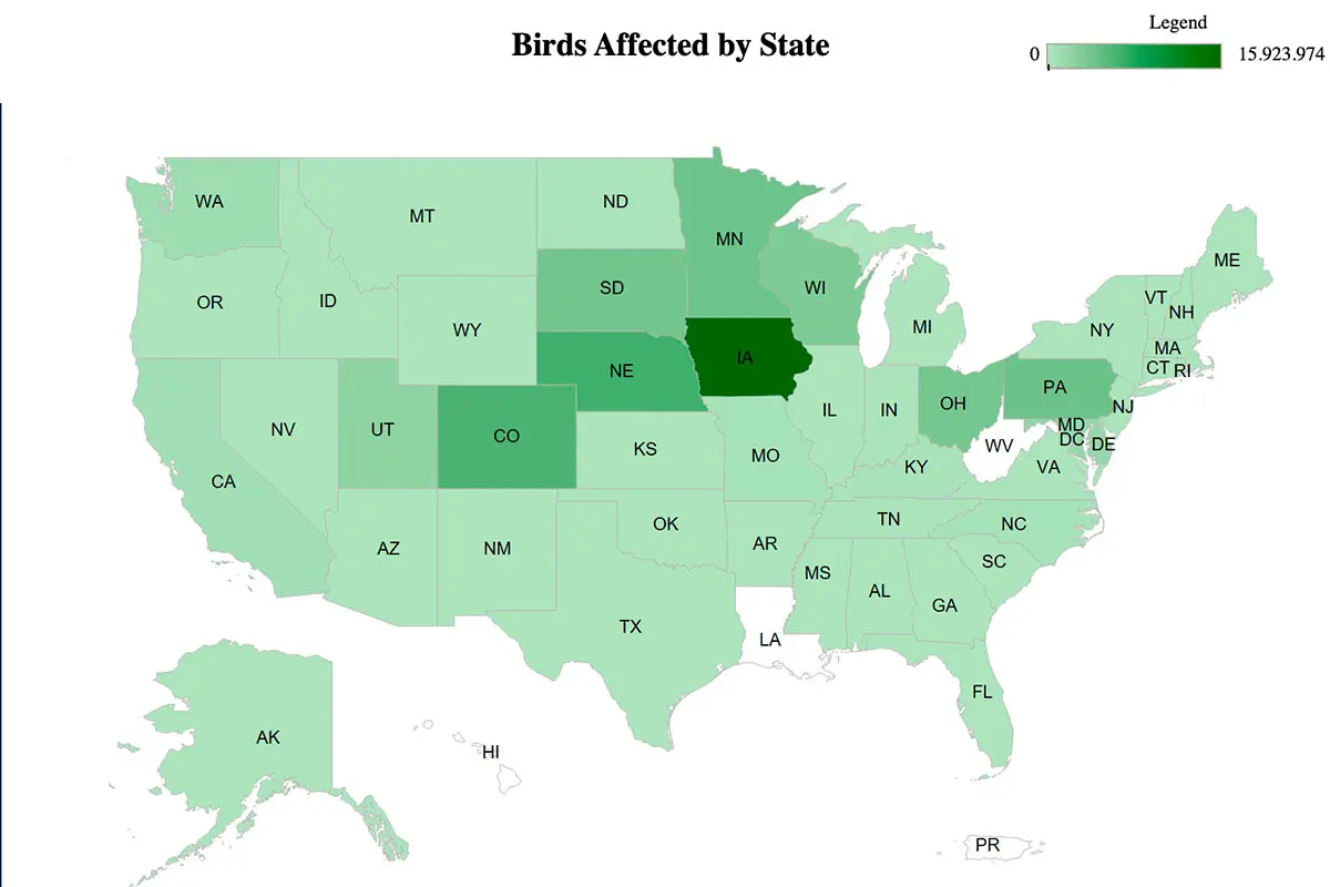 Bird flu map