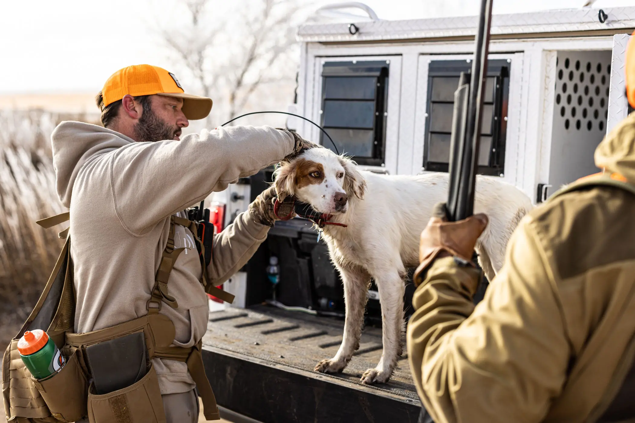 garmin alpha 200i handheld gps putting collar on dog while in the field
