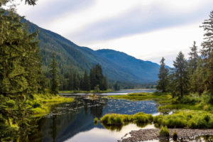 Tongass National Forest