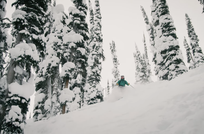 A skier from Canmore, Alberta, in a green jacket skiing down a powdery pitch between two trees