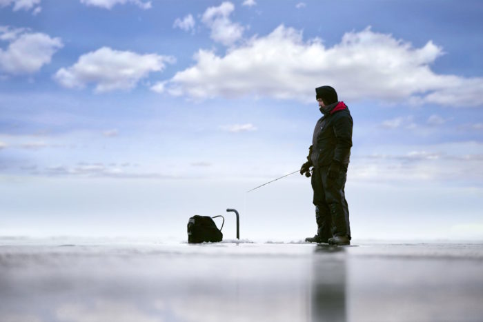 Garmin LiveScope bundle