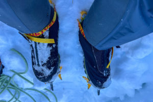 Lowa Alpine Ice GTX