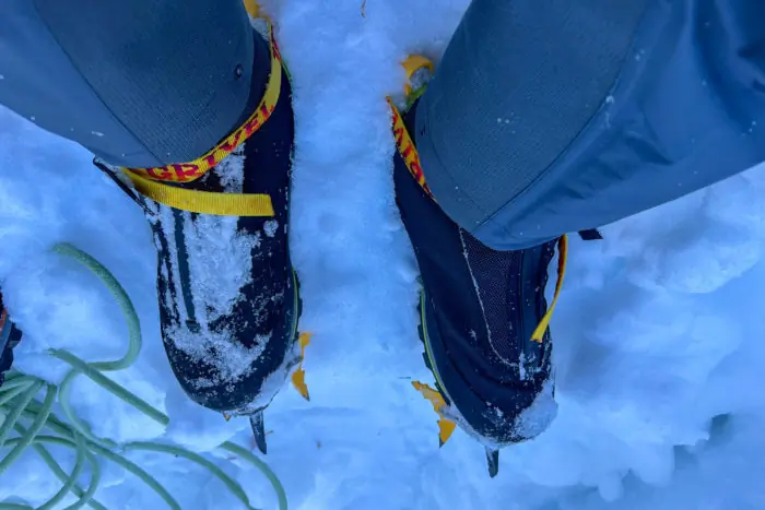 Lowa Alpine Ice GTX