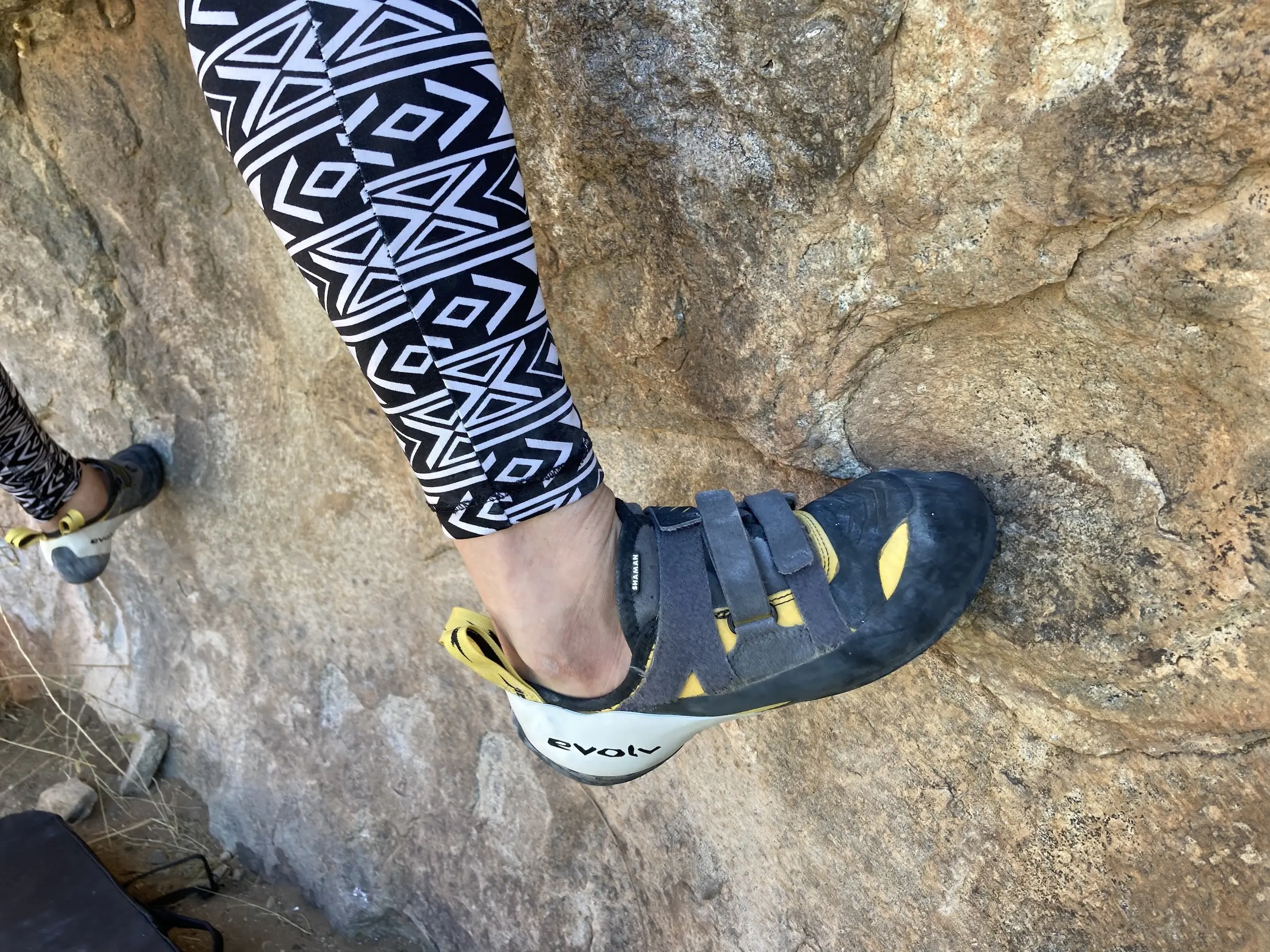 Evolv Shaman and El Burro