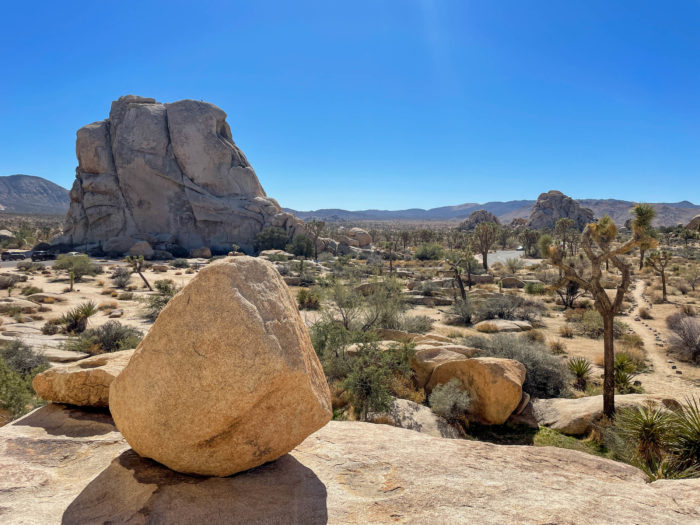 Joshua Tree National Park