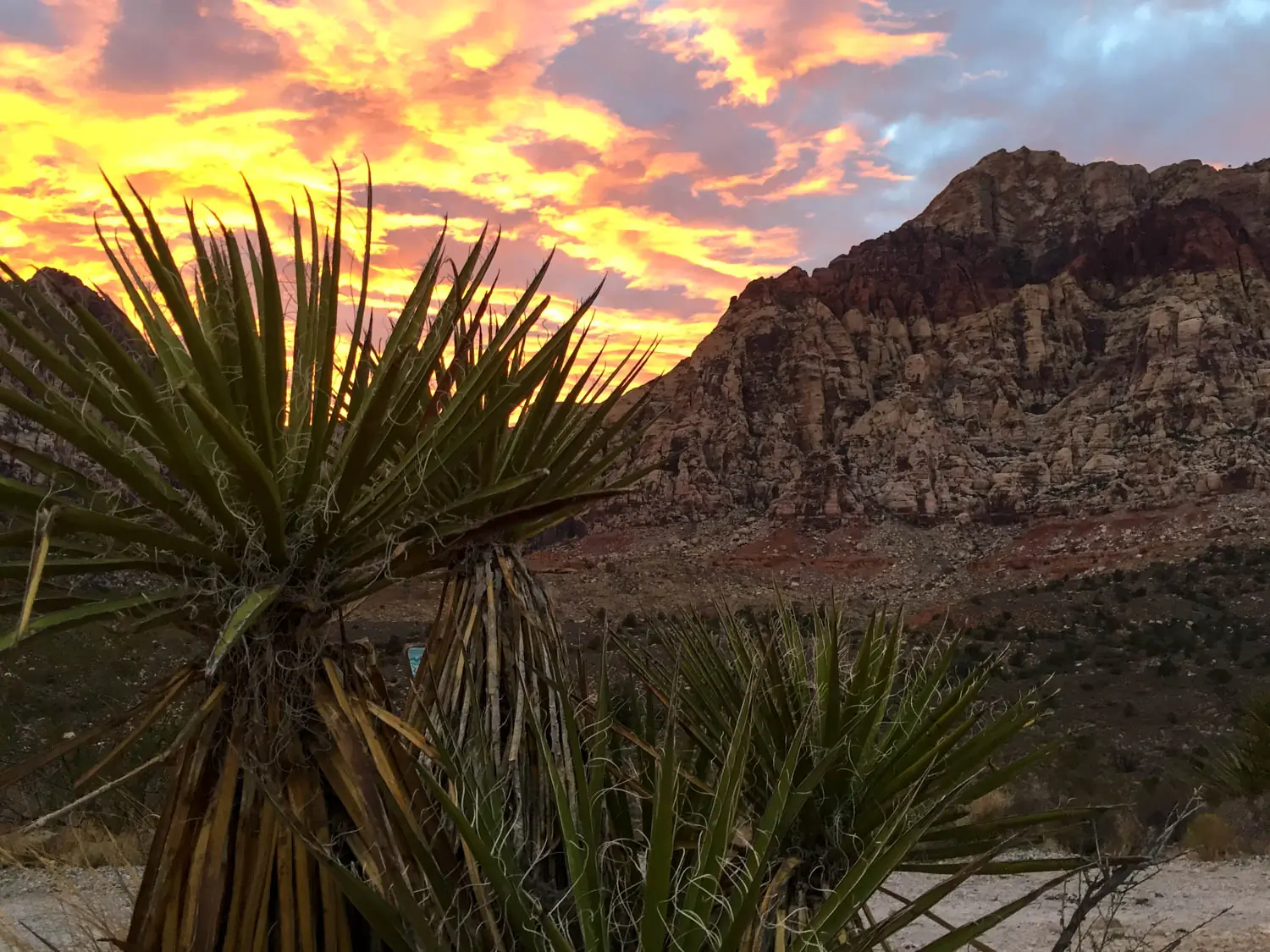 Red Rock Canyon National Conservation Area in Nevada