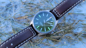 ProTek Series 3000 Field watch